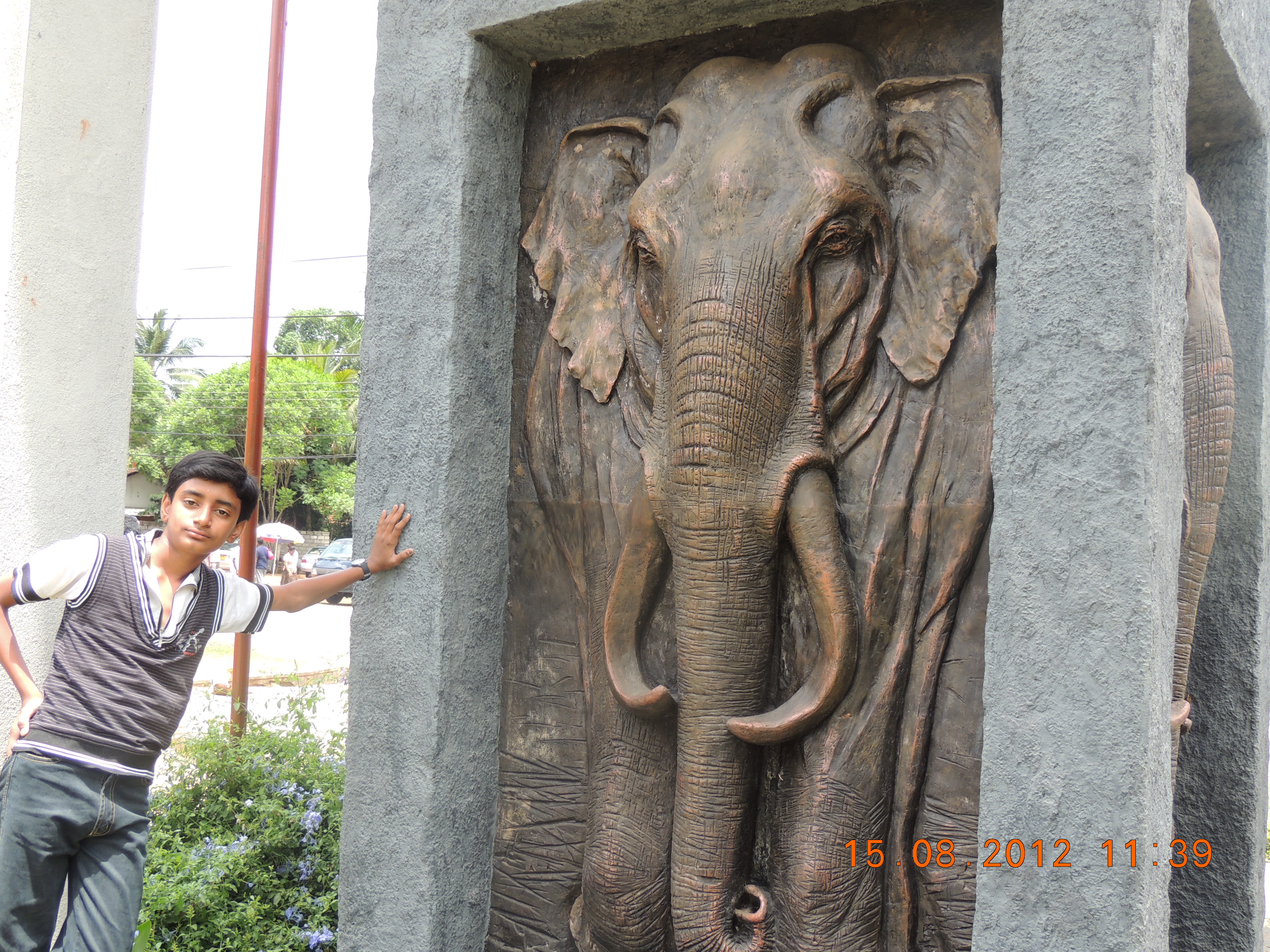 DSCN1342